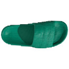 BGREEN/BGREEN/C